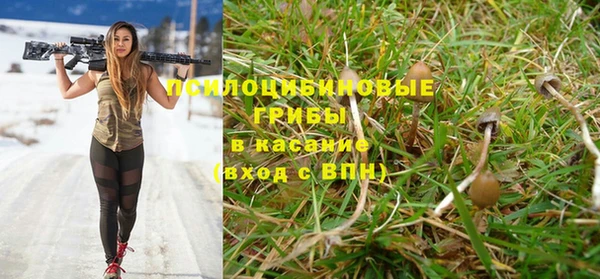 прущие грибы Алексин