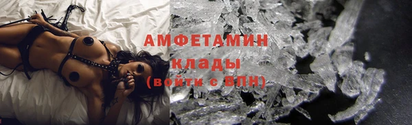 прущие грибы Алексин