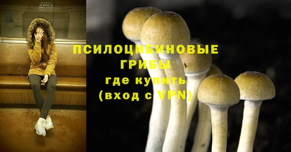 прущие грибы Алексин