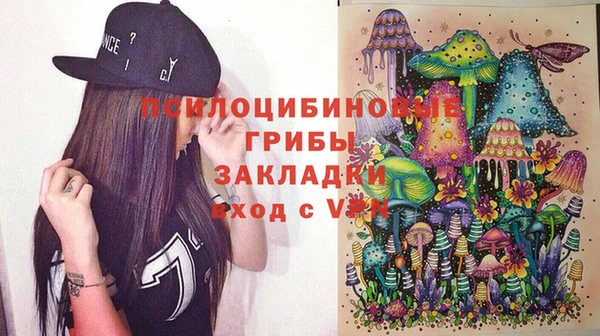 гидропоника Алзамай
