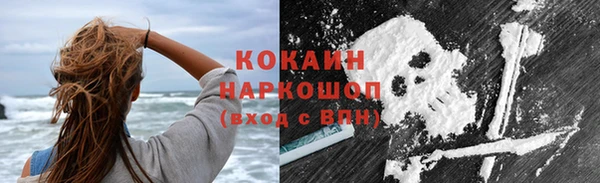 прущие грибы Алексин