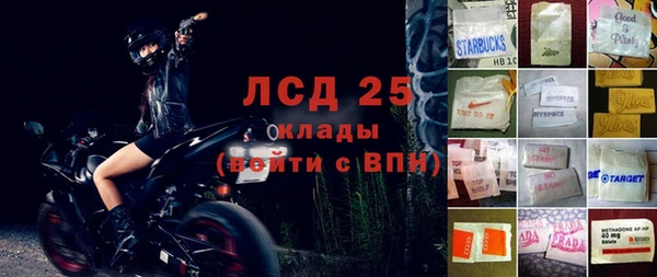 прущие грибы Алексин