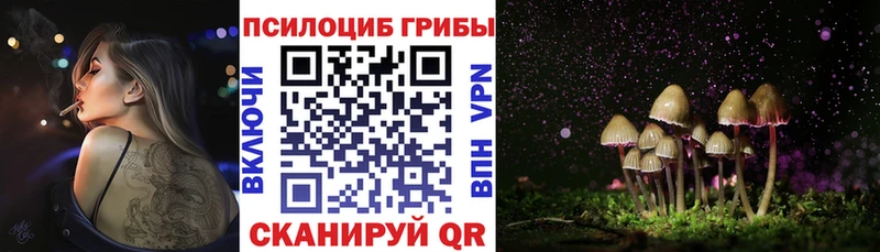 мега ONION  Моздок  площадка формула  Галлюциногенные грибы мицелий 